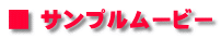 ■ サンプルムービー