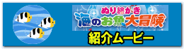 紹介ムービー